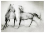 Lámina decorativa sin marco de estilo minimalista y blanco_y_negro, caballos etéreos en blanco y negro, modelo Wild Horses in Motion