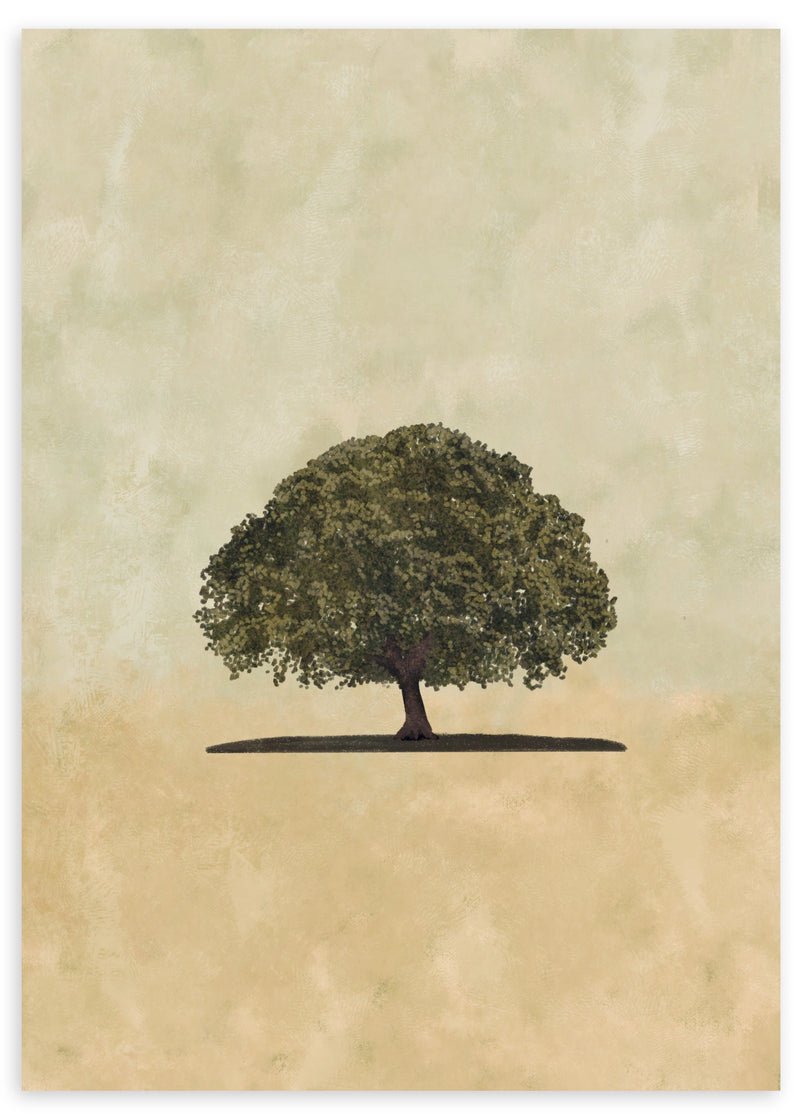 Lámina decorativa sin marco de estilo minimalista y orgánico, ilustración minimalista de encina, modelo Encina