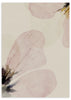Lámina decorativa sin marco de estilo minimalista y sereno, flor en acuarela de tonos suaves, modelo Flor de Amanecer