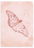 Lámina decorativa sin marco de estilo minimalista y sereno, mariposa delicada en tonos pastel, modelo Mariposa en Reposo