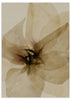 Lámina decorativa sin marco de estilo orgánico y beige, flor abstracta en tonos mostaza, modelo Flor de Seda Mostaza