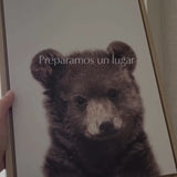 Two Combo - Peekaboo Baby Bear