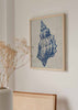Cuadro nórdico con ilustración de una concha marina en tonos azul y beige – kudeko.com