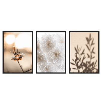 Three Combo - Summer Shadows
