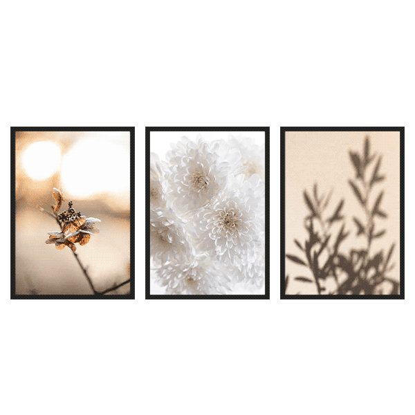 Three Combo - Summer Shadows