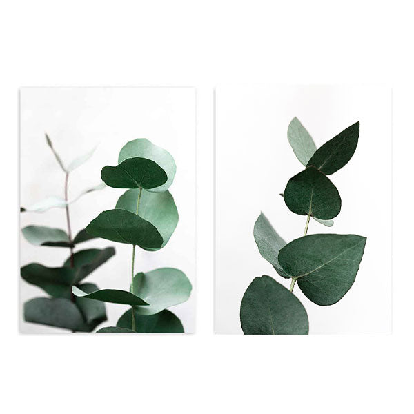 Conjunto de dos cuadros con ramas de eucalipto, hojas verdes salvia y verde oscuro sobre fondo blanco, composición botánica de estilo naturaleza y paisajes. Disponible en kudeko.com