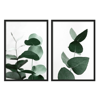 Two Combo - Eucalyptus Fresh