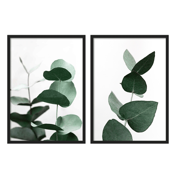 Outlet - Two Combo - Eucalyptus Fresh