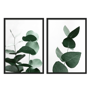 Outlet - Two Combo - Eucalyptus Fresh