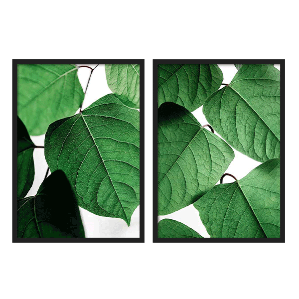 Two Combo - Summer Branches