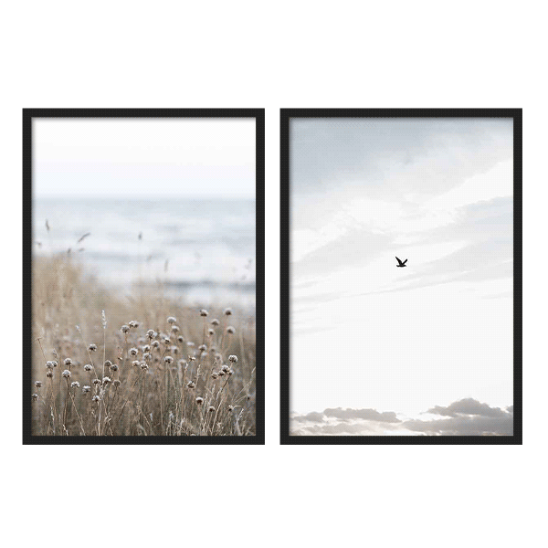Two Combo - Flying High