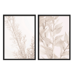Outlet - Two Combo - Flores Blancas Secas