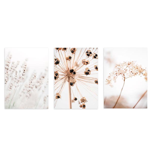 Conjunto de tres cuadros con flores secas silvestres en tonos beige, crema y marrón suave, sobre fondos claros y estilo fotográfico etéreo. Disponible en kudeko.com