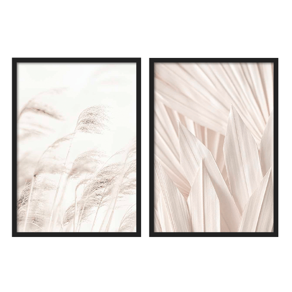 Two Combo - REED