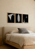 Conjunto de tres cuadros decorativos de estilo blanco_y_negro y minimalista, tríptico botánico en blanco y negro, modelo Three Combo - Black Flower