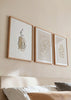 Conjunto de três quadros com linhas abstratas bege, silhueta feminina de traço contínuo, folhas decorativas em tons de areia e estilo minimalista para parede. Disponível em kudeko.com