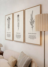 Set aus drei Wandbildern mit botanischen Illustrationen von Blumen und Wildpflanzen in Schwarz auf hellem Beige, wissenschaftlicher Typografie und floralem Stil. Erhältlich auf kudeko.com