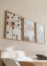 Conjunto de tres cuadros decorativos de estilo minimalista y nórdico, trío de flores nórdicas en tonos suaves, modelo Three Combo - Nordic Flowers