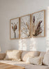 Ensemble de trois tableaux avec compositions botaniques de fleurs séchées, branches fines, épis beiges, feuilles brunes et vase clair, dans un style floral naturel et épuré. Disponible sur kudeko.com