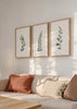 Conjunto de tres cuadros decorativos de estilo minimalista y orgánico, trío botánico de ramas y hojas verdes, modelo Three Combo - Rama & Hoja