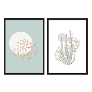 Outlet - Two Combo - Coral Sea