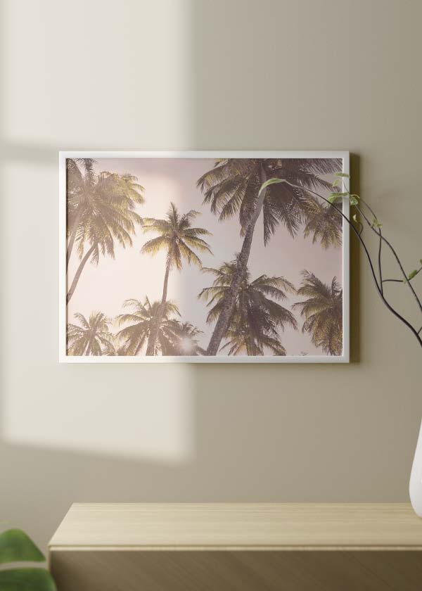 decoración con cuadros, ideas - lámina decorativa horizontal de fotografía de palmeras tropicales - kudeko