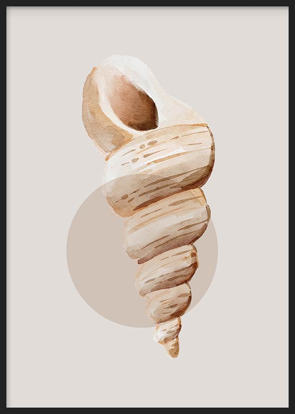 Tableau encadré avec caracola marine spiralée en beige, sable et brun doux sur fond neutre, avec composition minimaliste et cercle estompé. Disponible sur kudeko.com