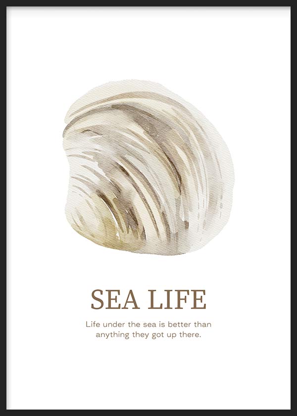 Tableau encadré avec coquille marine beige et sable sur fond blanc, texte Sea Life, style minimaliste et décoration côtière épurée. Disponible sur kudeko.com