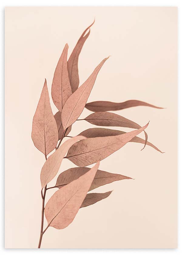 Cuadro de rama de eucalipto seco con hojas alargadas en tonos rosa empolvado, beige y marrón suave, de estilo naturaleza y paisajes. Disponible en kudeko.com