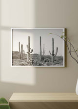 decoración con cuadros, ideas - lámina decorativa de cactus en el desierto, fotografía horizontal en blanco y negro - kudeko