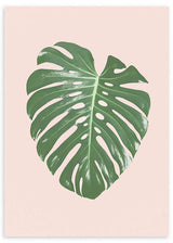 lámina decorativa de hoja monstera verde sobre fondo beige, estilo nórdico y de flores - kudeko