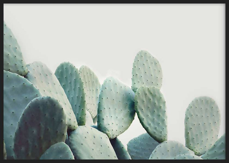 Pastel Cactus