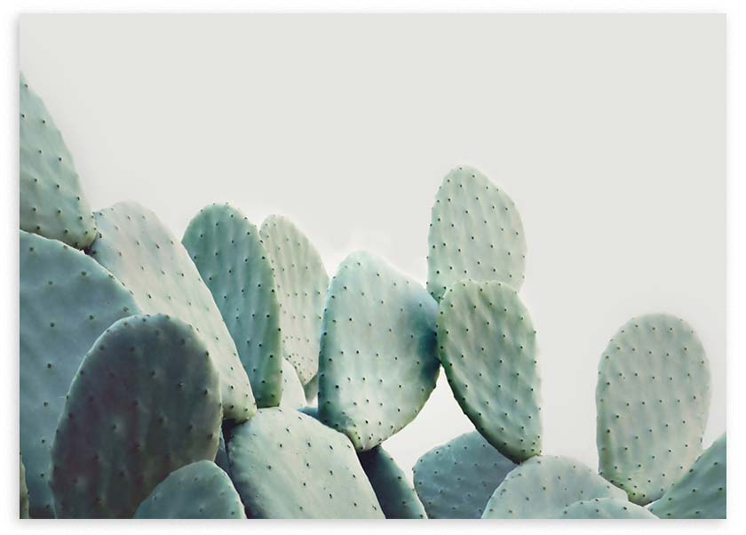Cuadro horizontal de cactus de palas superpuestas en tonos verde agua, menta y azul grisáceo, con fondo claro y estilo minimalista. Disponible en kudeko.com