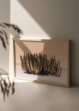 decoración con cuadros, ideas -lámina decorativa horizontal y fotográfica de cactus en el desierto - kudeko