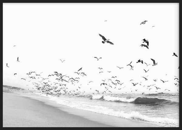 Cuadro horizontal de playa en blanco y negro con bandada de aves sobre el mar, arena suave, olas ligeras y composición fotográfica serena. Disponible en kudeko.com