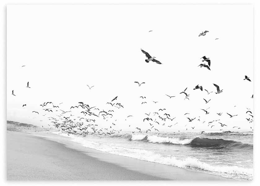 Horizontales Wandbild mit Strandmotiv in Schwarz-Weiß, Vogelschwarm über dem Meer, hellem Sand, sanften Wellen und ruhigem fotografischem Stil. Erhältlich auf kudeko.com
