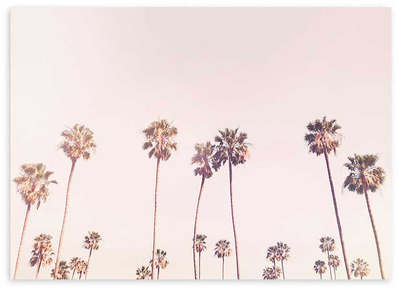 Cuadro horizontal con palmeras altas sobre cielo rosa beige, composición luminosa de aire californiano y estilo fotográfico suave. Disponible en kudeko.com