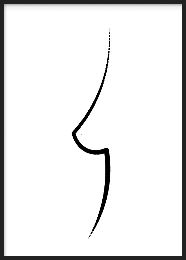 Anatomía Lineal