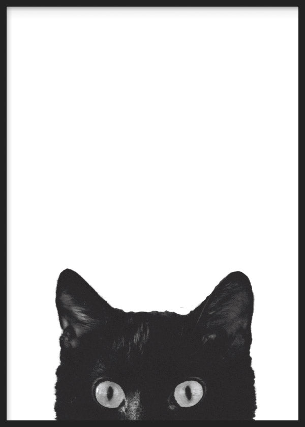 Black Cat