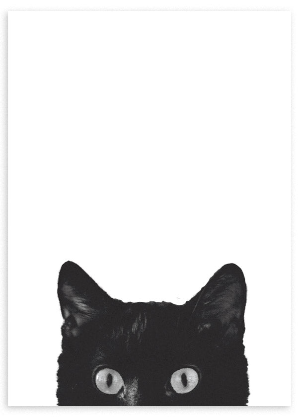Tableau avec visage de chat noir surgissant, yeux clairs intenses, grand fond blanc, composition épurée, contraste marqué et style minimaliste moderne. Disponible sur kudeko.com
