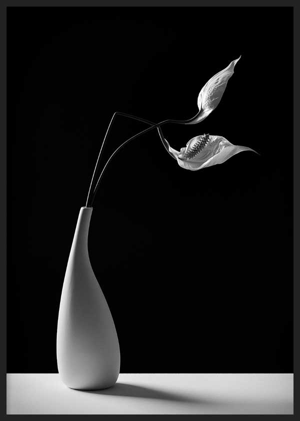 Wandbild mit stilisierter weißer Vase, zwei geschwungenen Blumen, tiefschwarzem Hintergrund, grauen Nuancen und schlichter Schwarz-Weiß-Gestaltung im modernen Stil. Erhältlich auf kudeko.com