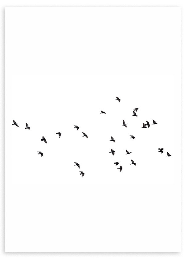 Gerahmtes Wandbild mit schwarzem Vogelschwarm im Flug auf weitem weißem Hintergrund, elegantem Kontrast, luftiger Komposition und minimalistischem Stil. Erhältlich auf kudeko.com