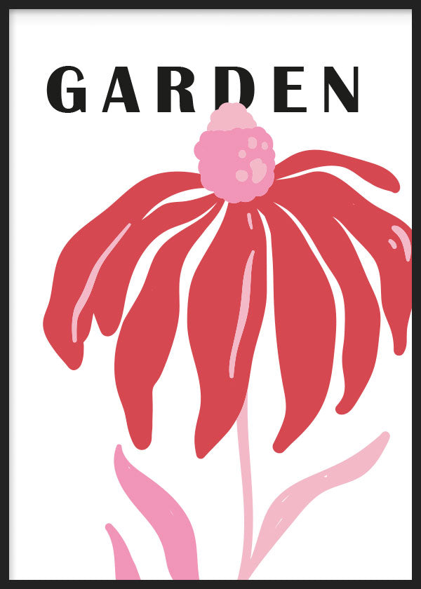 cuadro para lámina decorativa de flor roja y rosa con palabra "garden". Ilustración moderna de flor. Marco negro