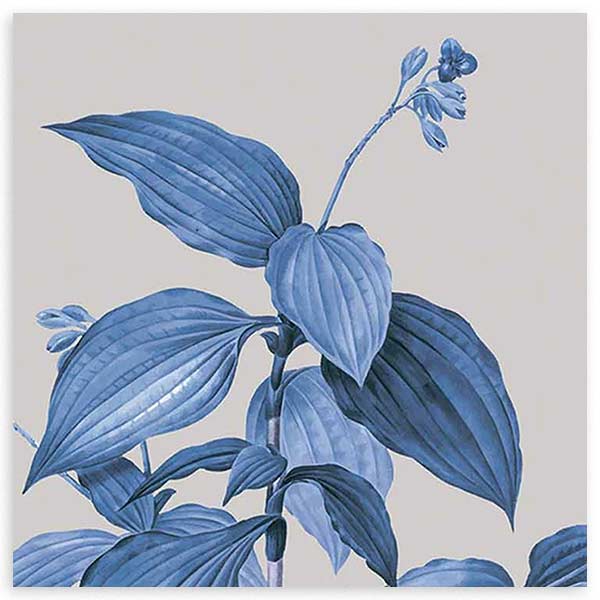 cuadro de ilustración de flores vintage. Lámina decorativa floral en tonos verdosos-azules.