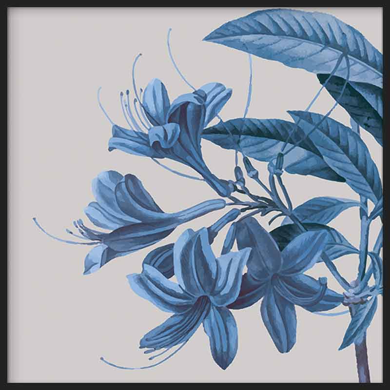 Blue Botanic III