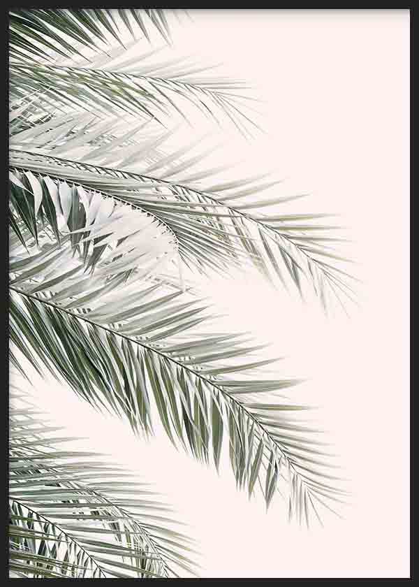 Cuadro de hojas de palmera en tonos verde grisáceo sobre fondo rosa empolvado, con composición ligera y estilo naturaleza y paisajes. Disponible en kudeko.com