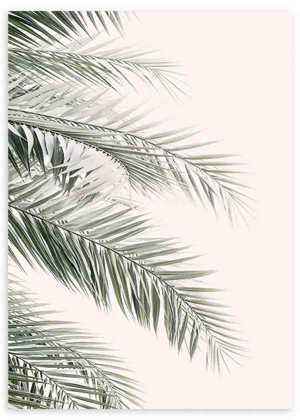 Cuadro de hojas de palmera en tonos verde grisáceo sobre fondo rosa empolvado, con composición ligera y estilo naturaleza y paisajes. Disponible en kudeko.com