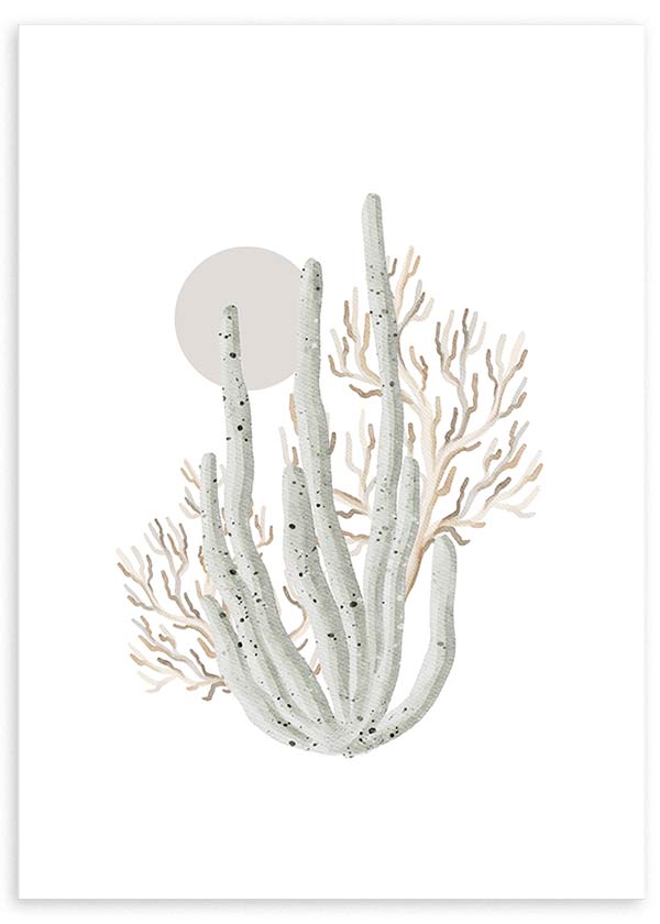 Cuadro de coral marino blanco con ramas beige, círculo rosa empolvado y fondo claro, composición ligera de estilo minimalista. Disponible en kudeko.com