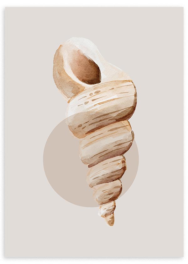 Tableau encadré avec caracola marine spiralée en beige, sable et brun doux sur fond neutre, avec composition minimaliste et cercle estompé. Disponible sur kudeko.com