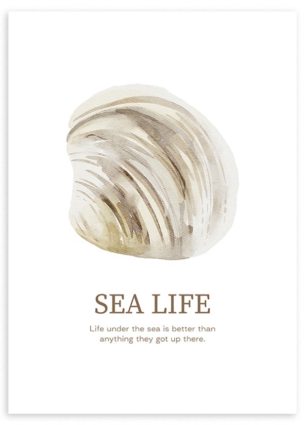 Cuadro con concha marina beige y arena sobre fondo blanco, texto Sea Life y composición limpia de estilo minimalista. Disponible en kudeko.com